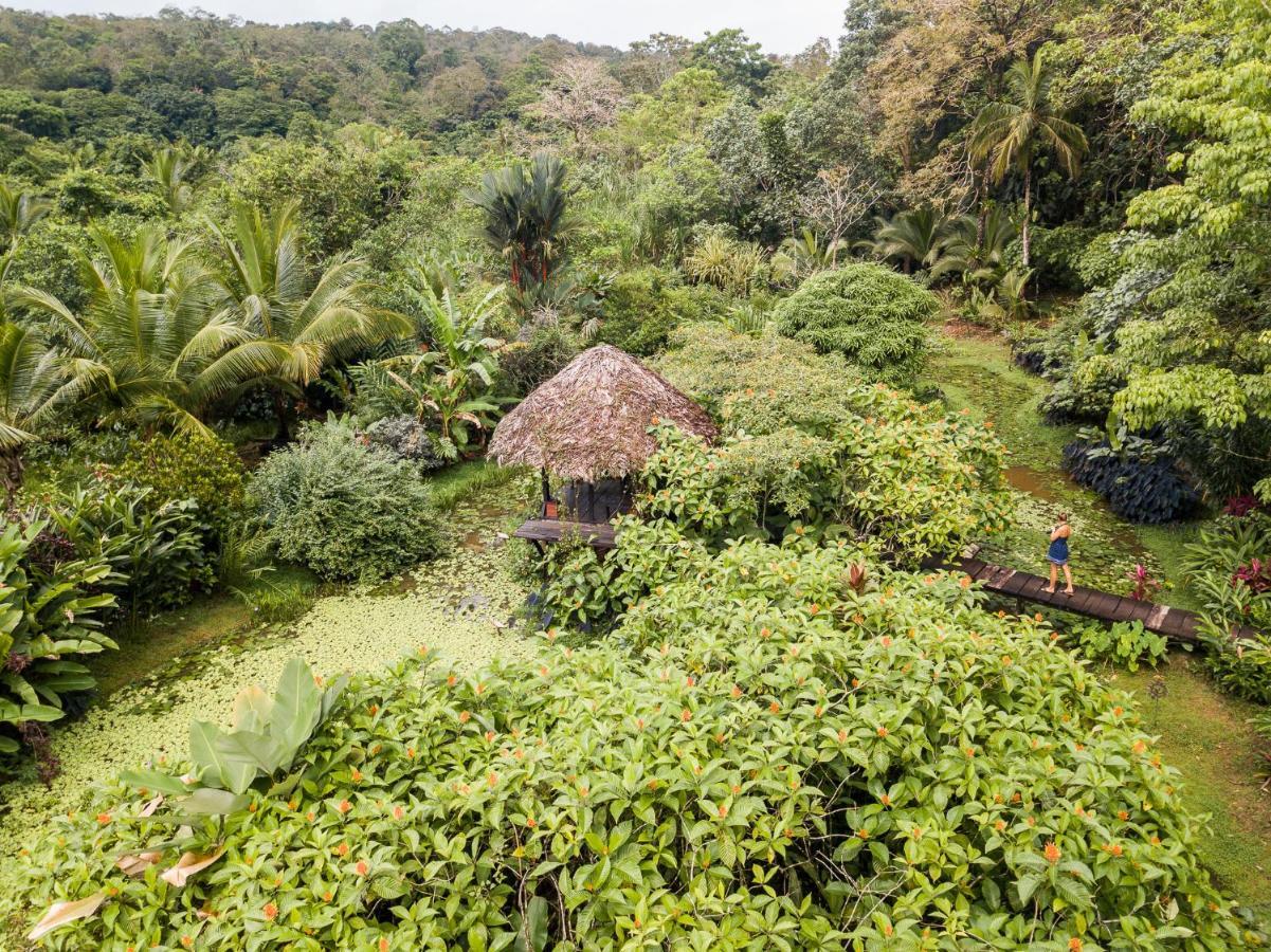 Eclypse De Mar Acqua Lodge Бастиментос Экстерьер фото