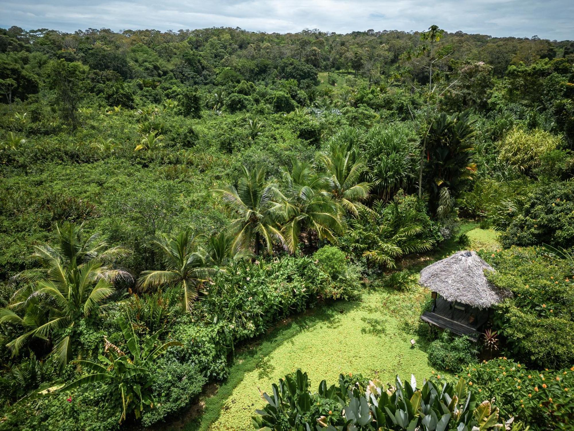 Eclypse De Mar Acqua Lodge Бастиментос Экстерьер фото